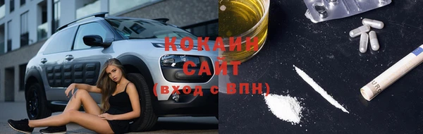 стаф Арсеньев