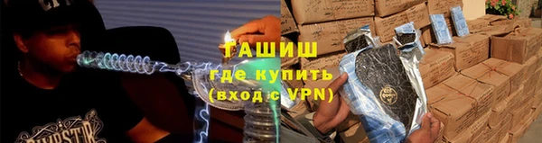 стаф Арсеньев