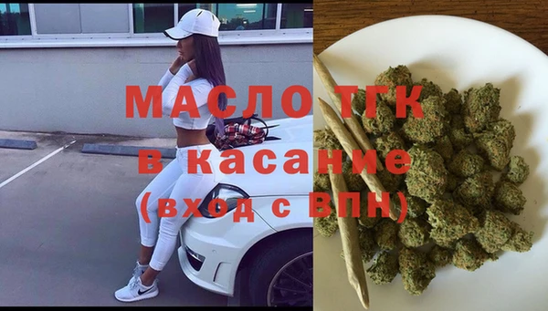 стаф Арсеньев