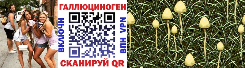 KRAKEN онион  Макарьев  Псилоцибиновые грибы Cubensis  где найти  